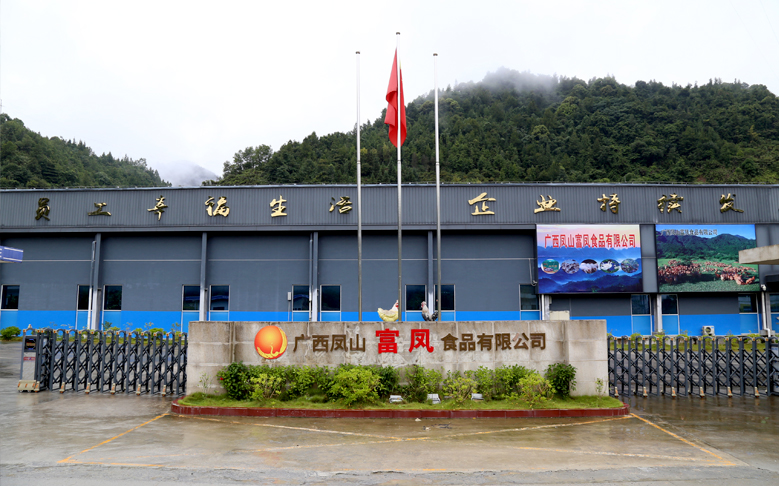 广西凤山国产午夜麻豆影院在线观看食品有限公司