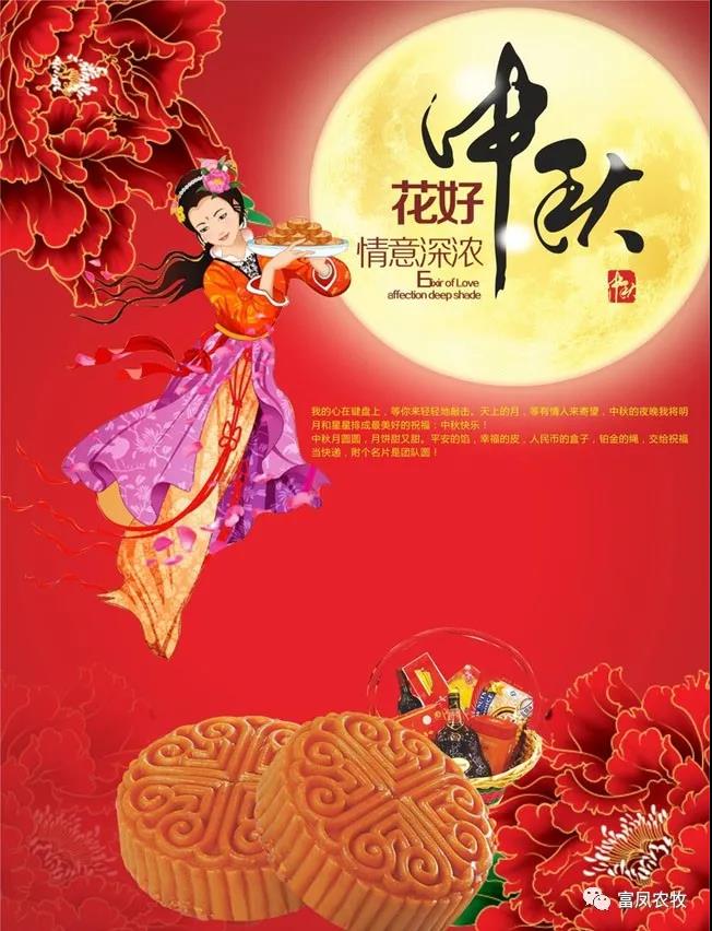 广西国产午夜麻豆影院在线观看农牧集团