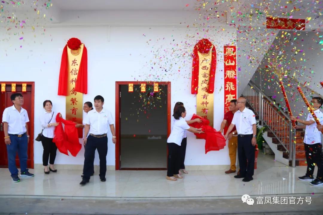 国产午夜麻豆影院在线观看集团