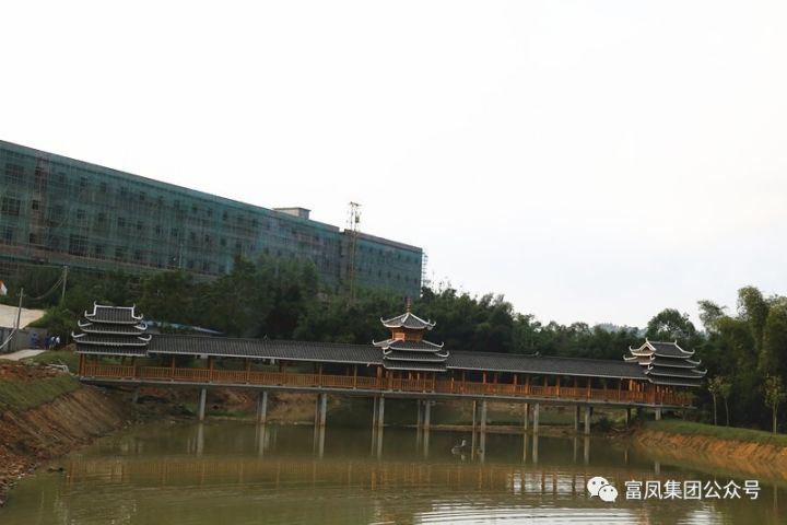 广西国产午夜麻豆影院在线观看农牧集团