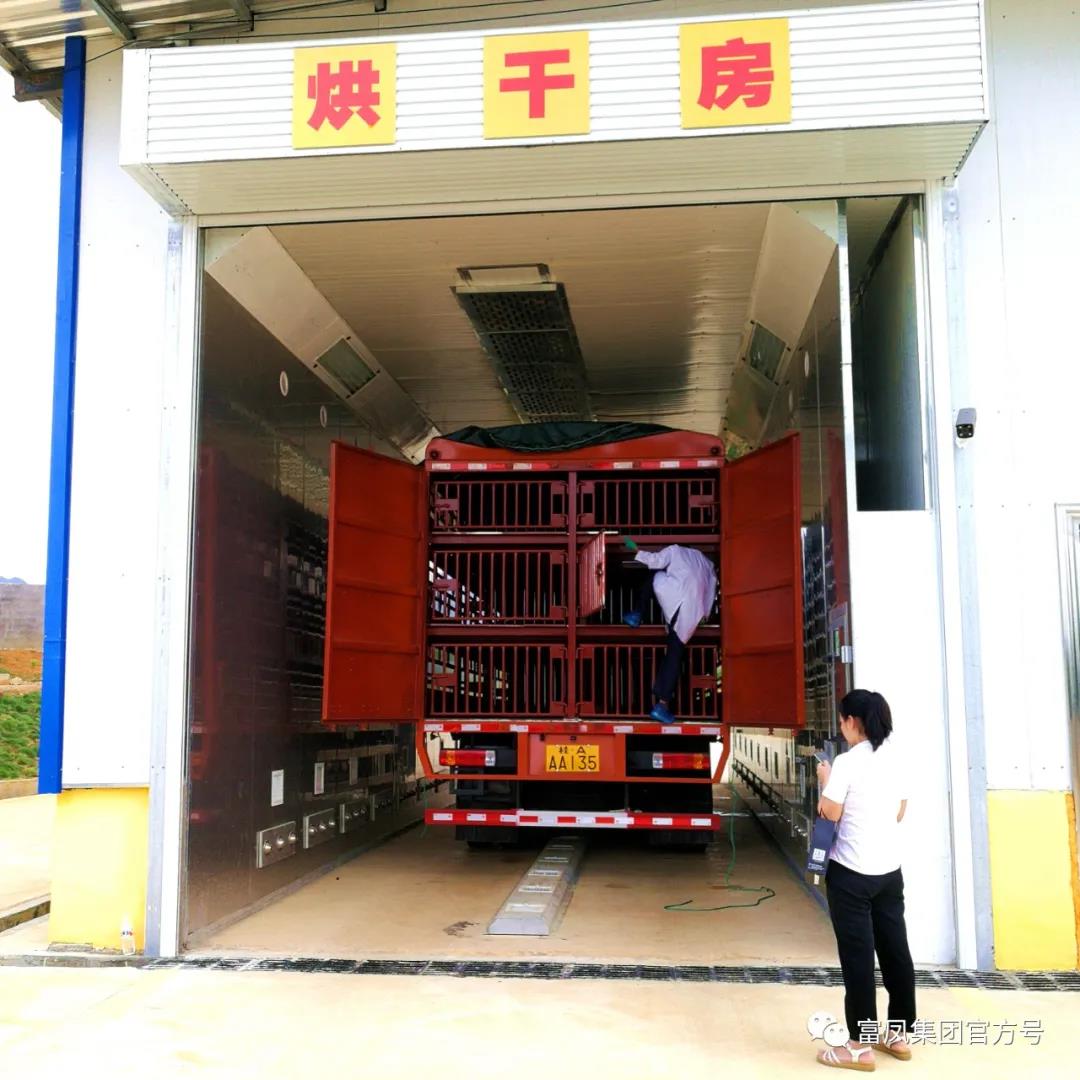 广西国产午夜麻豆影院在线观看集团