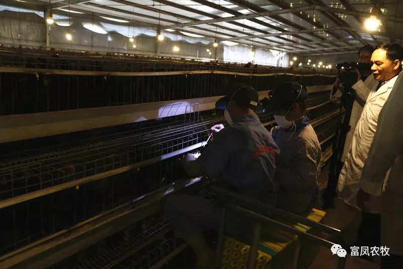 广西国产午夜麻豆影院在线观看农牧集团