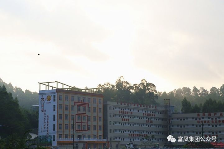 广西国产午夜麻豆影院在线观看农牧集团