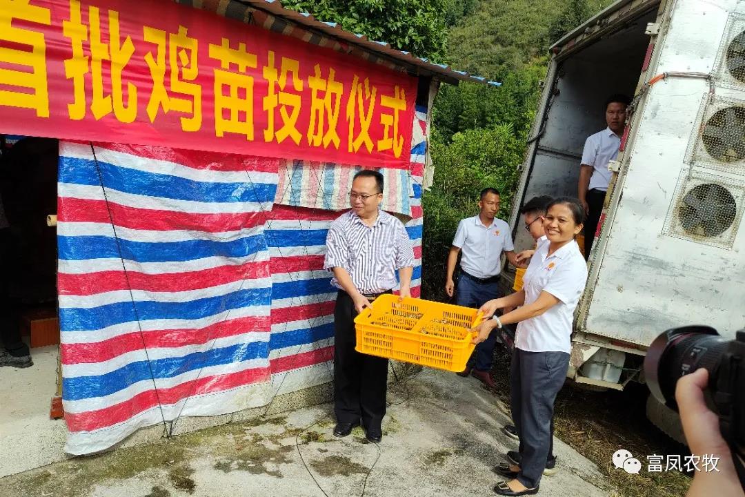 广西国产午夜麻豆影院在线观看农牧集团