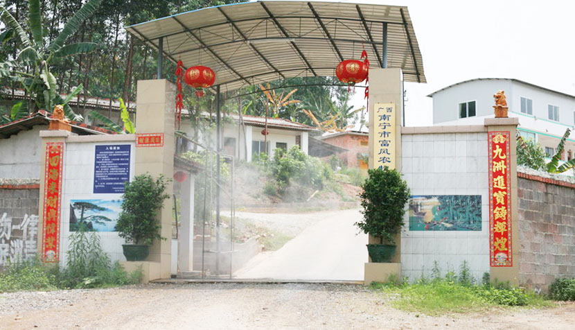 广西国产午夜麻豆影院在线观看鸡育种有限公司