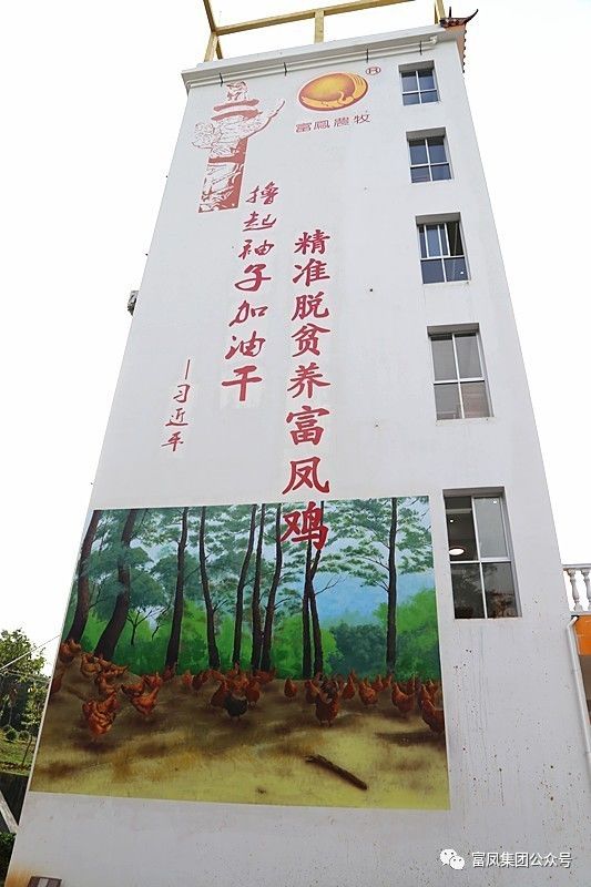 广西国产午夜麻豆影院在线观看农牧集团