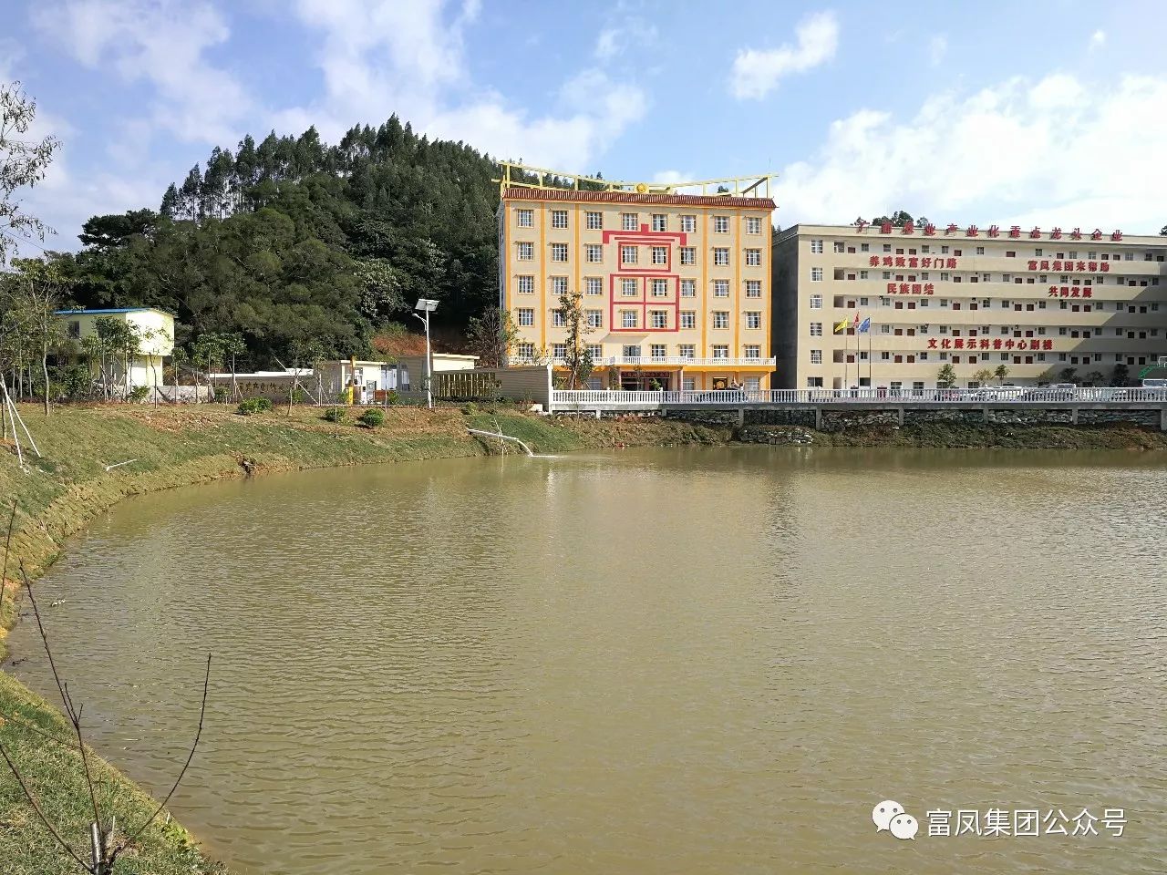 广西国产午夜麻豆影院在线观看农牧集团