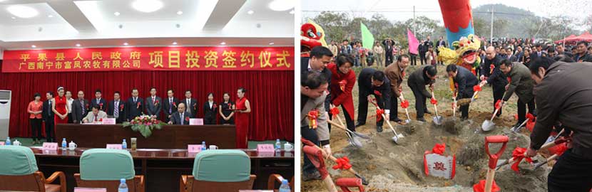 广西国产午夜麻豆影院在线观看农牧集团