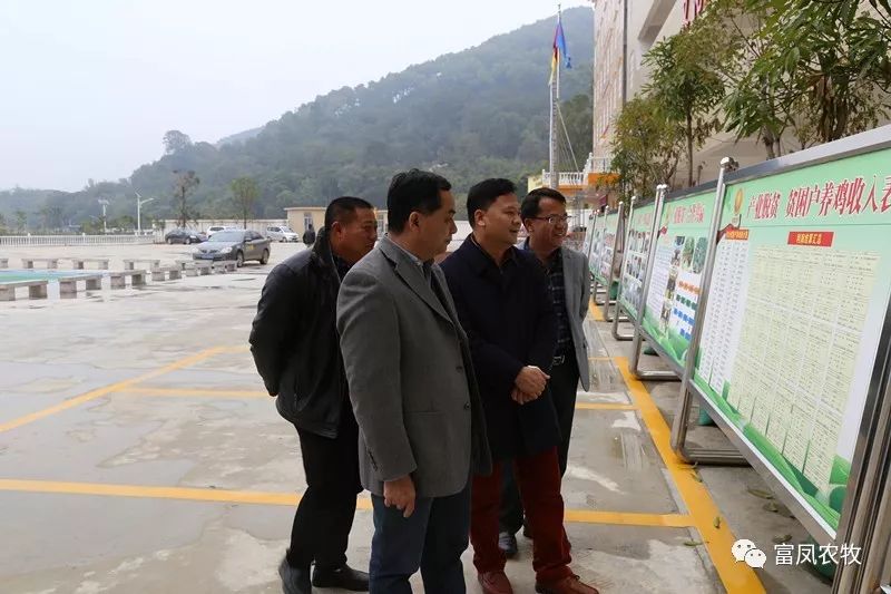 广西国产午夜麻豆影院在线观看农牧集团