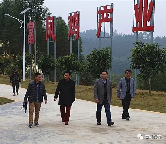 广西国产午夜麻豆影院在线观看农牧集团