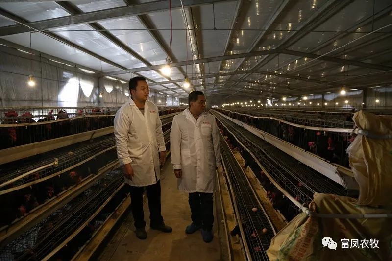 广西国产午夜麻豆影院在线观看农牧集团