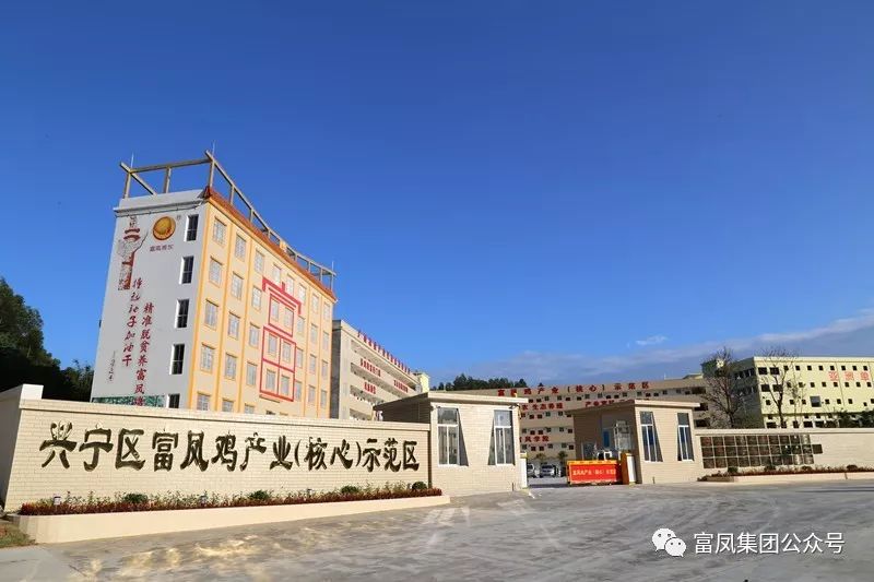 广西国产午夜麻豆影院在线观看农牧集团